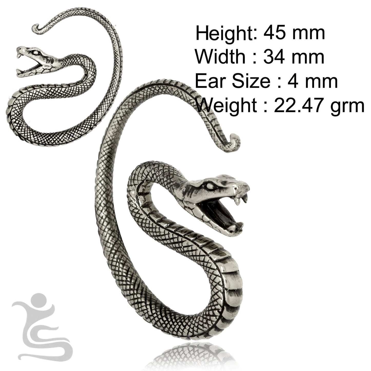 Ear Weights IW 004