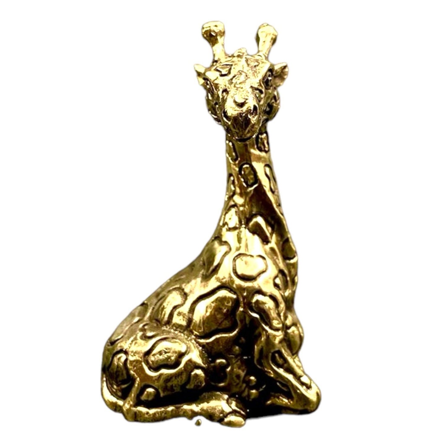 turtle monk, turtle and girrafe figurine