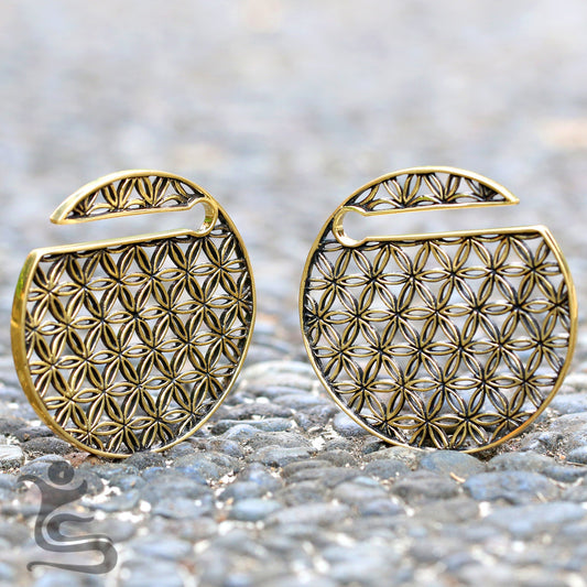 Ear Weights code IW 020