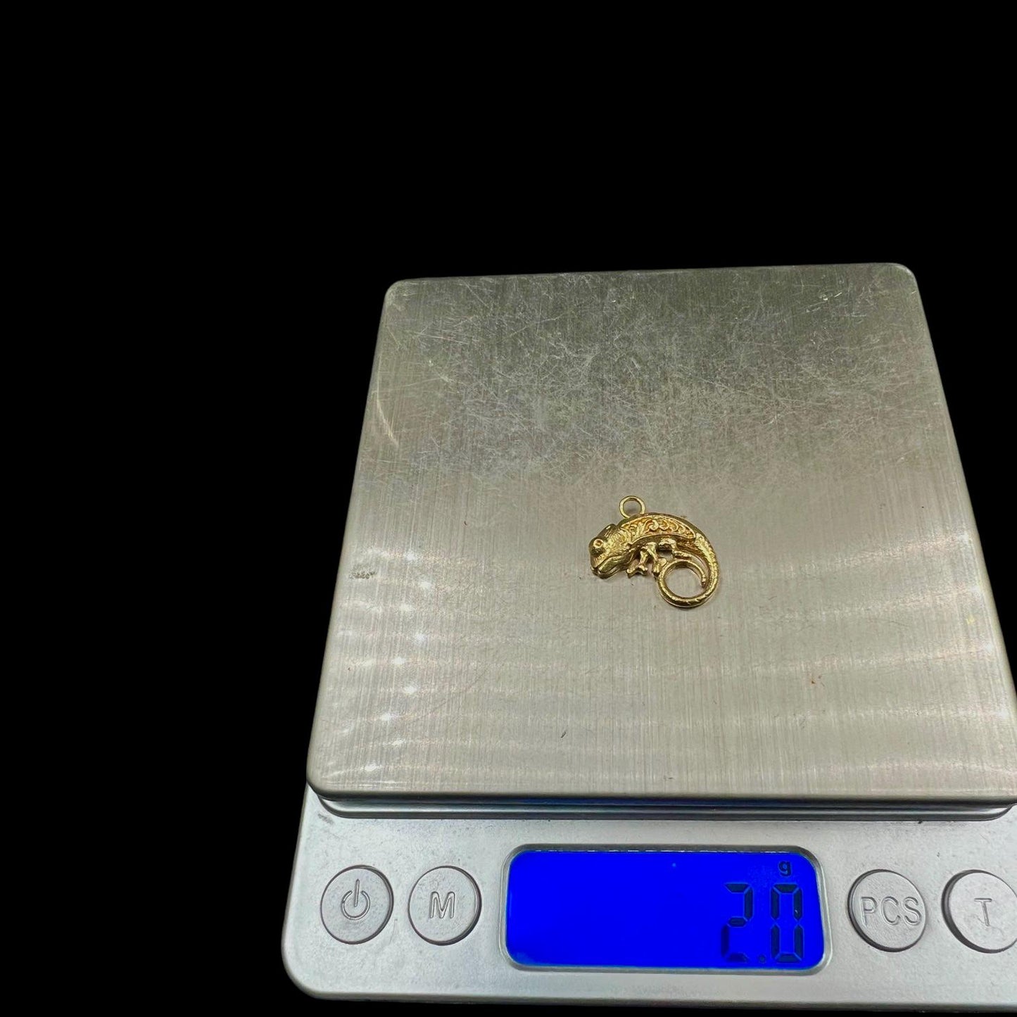 10 pcs brass charm camelion