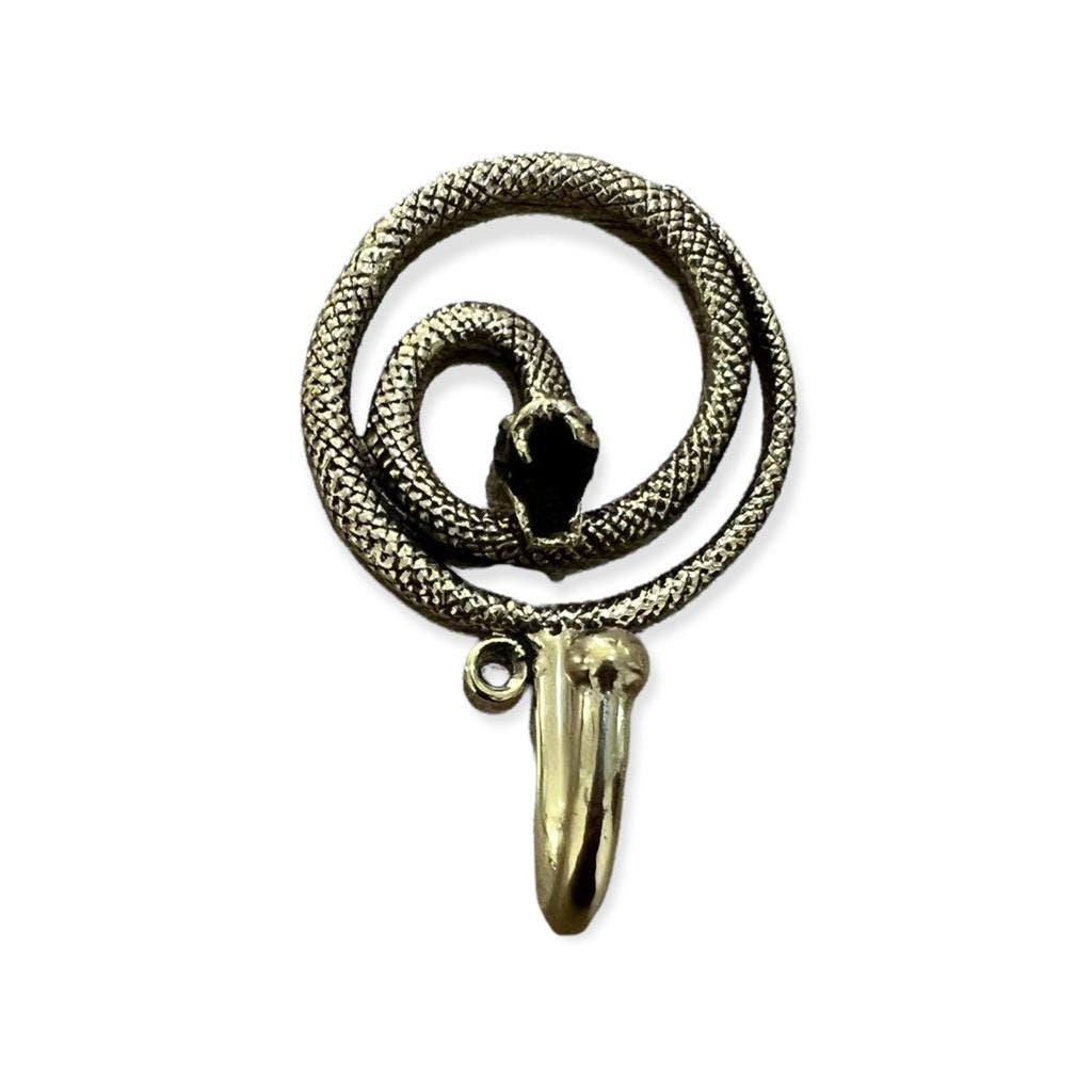 Snake and gecko  Brass Hook