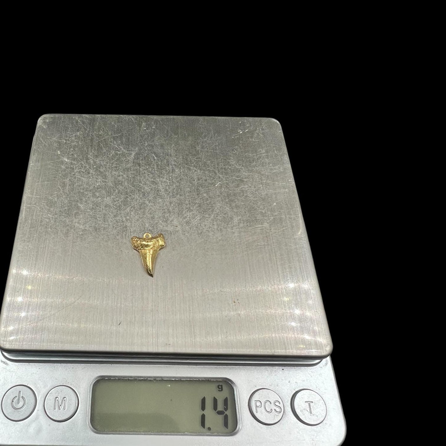 10 pcs brass charm shark teeth
