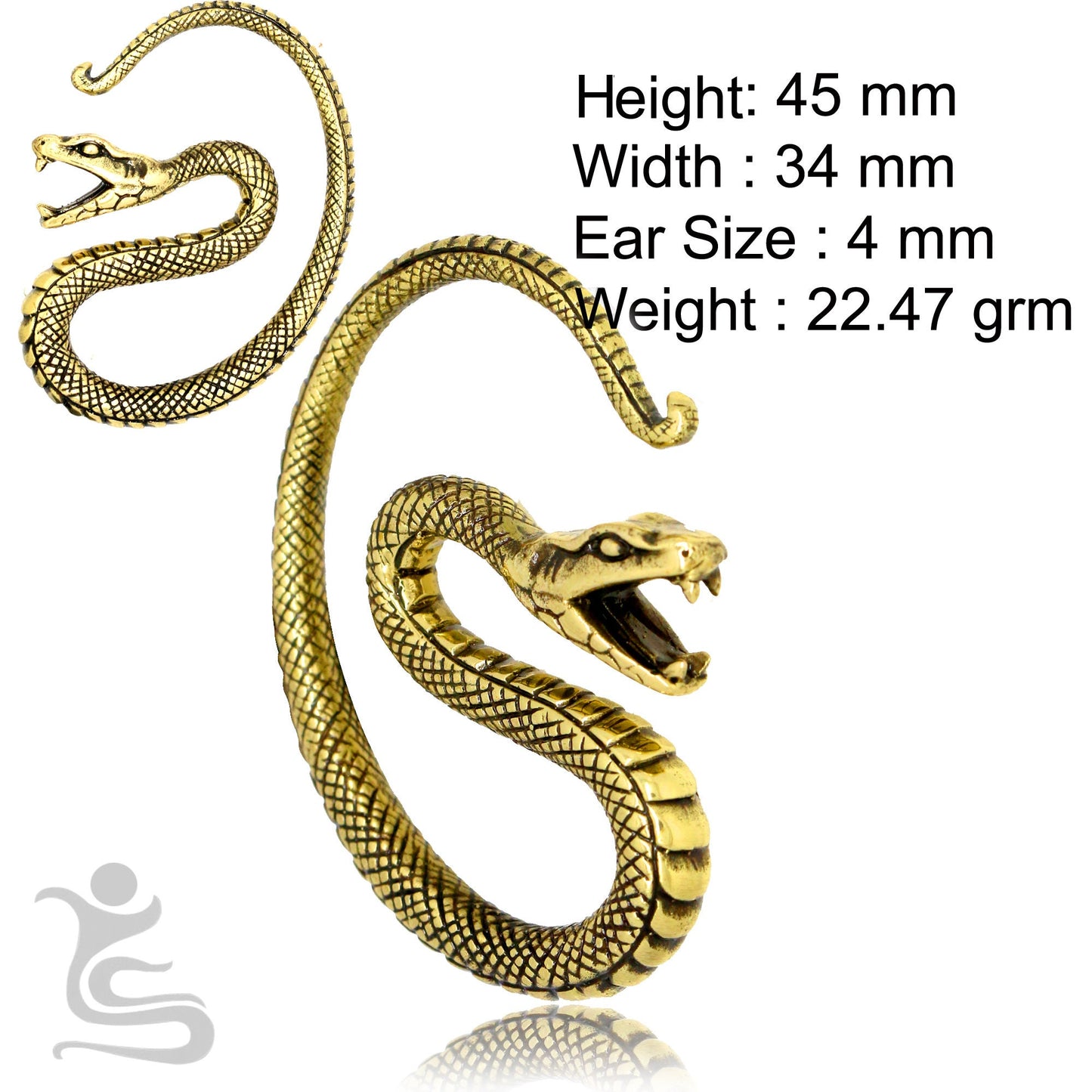 Ear Weights IW 004