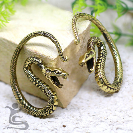 Ear Weights IW 004