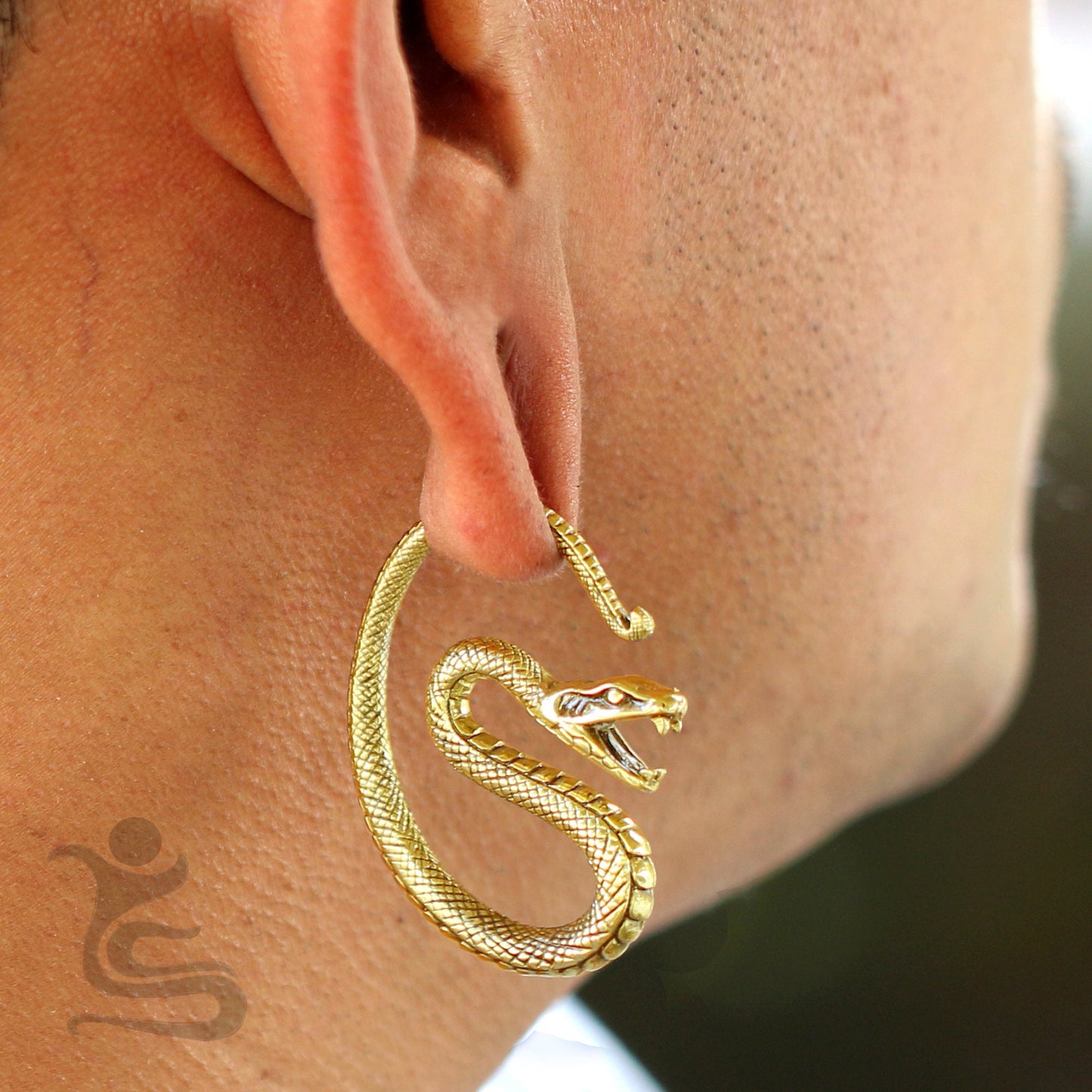 Ear Weights IW 004