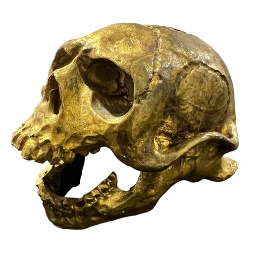Animal Skulls figurine